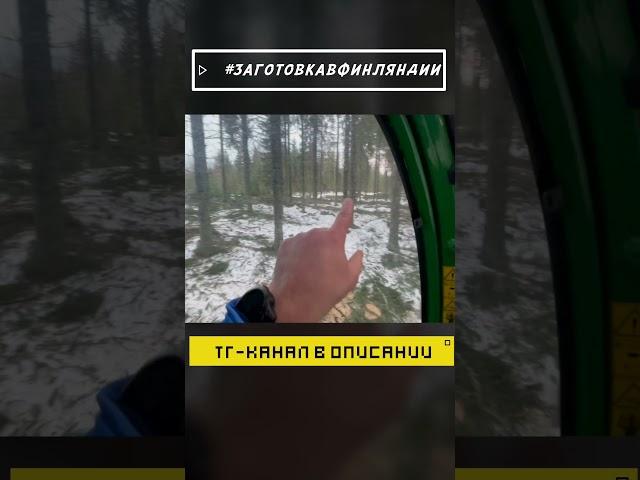 Прореживание. #заготовкавфинляндии #лесозаготовка #харвестер #logging #johndeere