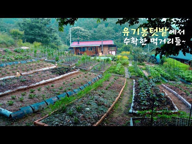 Country house organic garden from spring to fall~!!