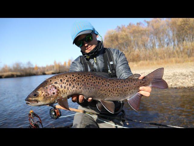 Ловля ЛЕНКА нахлыстом / Lenok fly fishing.