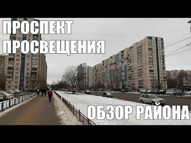 Проспект Просвещения | Обзор района | Жизнь в Питере