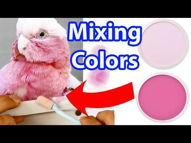 PanPastel Color Mixing Guide: Comprehensive Lesson for Beginners | JasonMorgan.co.uk