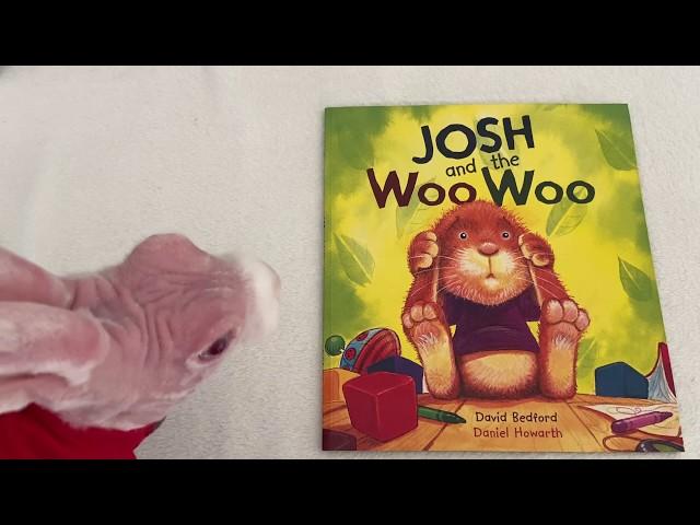 Reading with Mr Bigglesworth - Josh and the Woo Woo