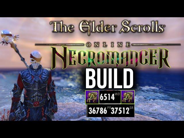 Elder Scrolls Online Necromancer Build | Outnumbered PvP (Nycecro)