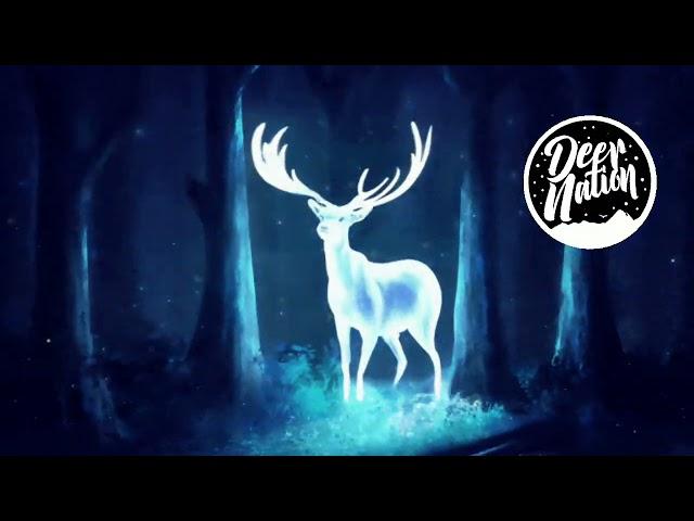 Tobu - Electro Fun [Deer Nation]