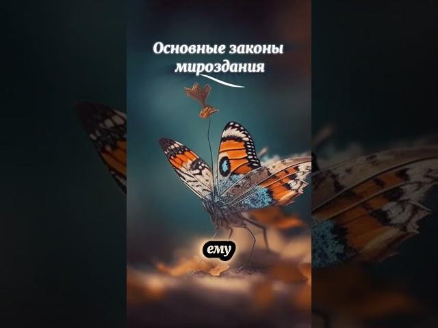 Законы мироздания #бог #добро #душа