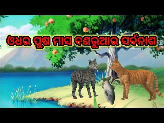 Odhara Pusha masa Banabhuara Sarbanasha || Odia cartoon Story | Odia Moral Story