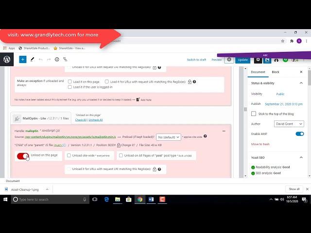 How to Use the Asset CleanUp Plugin to Achieve Page speed for your WordPress Site