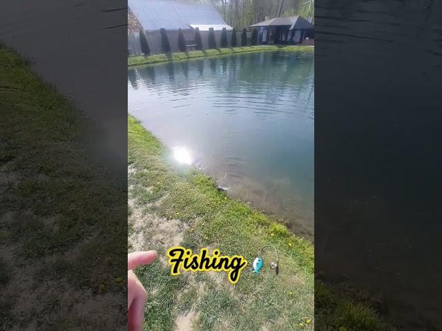 fishing fishing  #trending #shortvideo #fishing #catching #fish fi