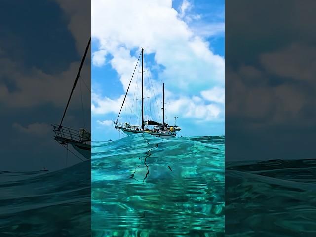 6 Most Common Sailboat Rigs ️