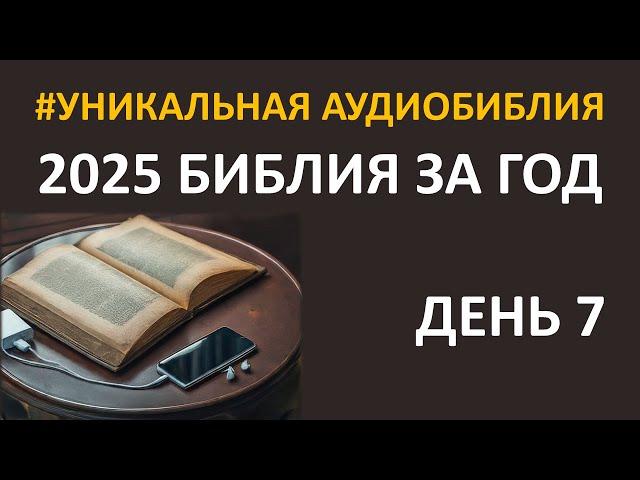 День 7. Библия за год. Библейский ультрамарафон портала «Иисус»