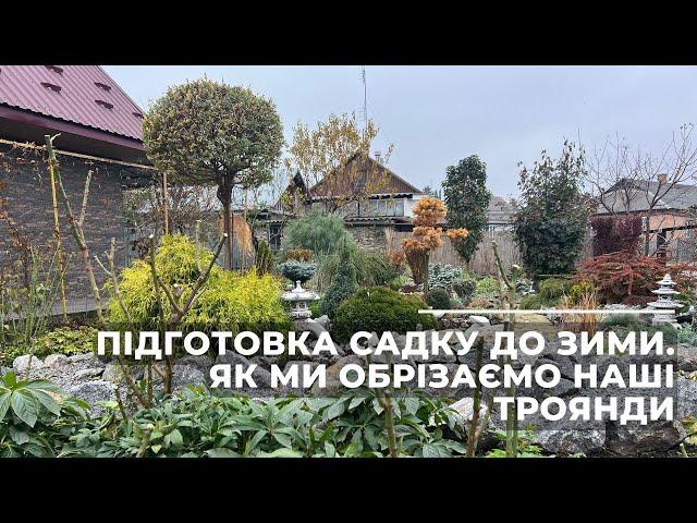 Підготовка саду до зими. Як ми обрізаємо наші троянди