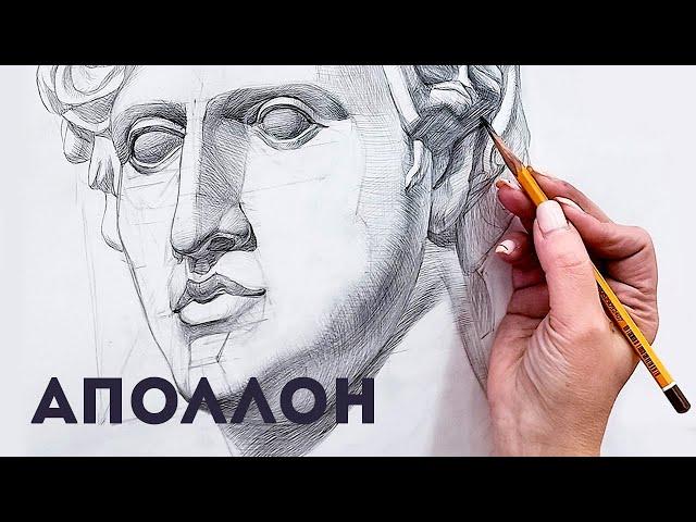 Академический рисунок гипсовой головы Аполлона #shorts