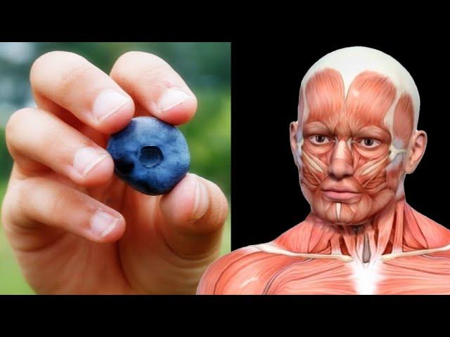 What Happens When You Start Eating Blueberries Everyday