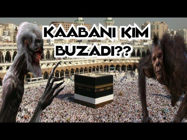 Abdulloh domla Kabani Kim Buzadi? / Абдуллох домла кабани Ким бузади?