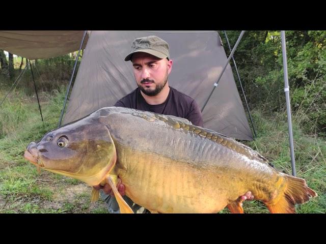 Best Carpfishing Moments Big Carp