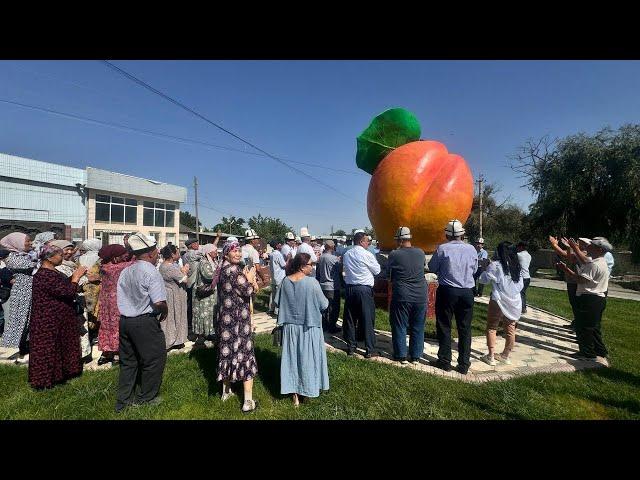 Баткен шаарына 1 миллион сомго өрүктүн айкели орнотулду