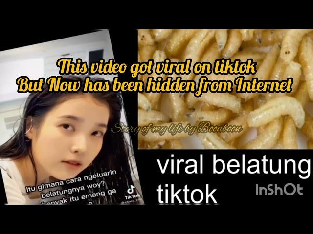 viral belatung viral di tiktok video || begini spoilernya || viral belatung