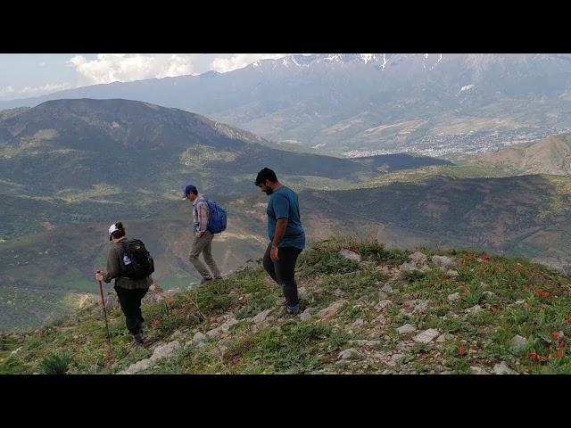 Спуск с Малого Чимгана по северному склону. Часть -1. Для смелых. Descending from Small Chimgan.