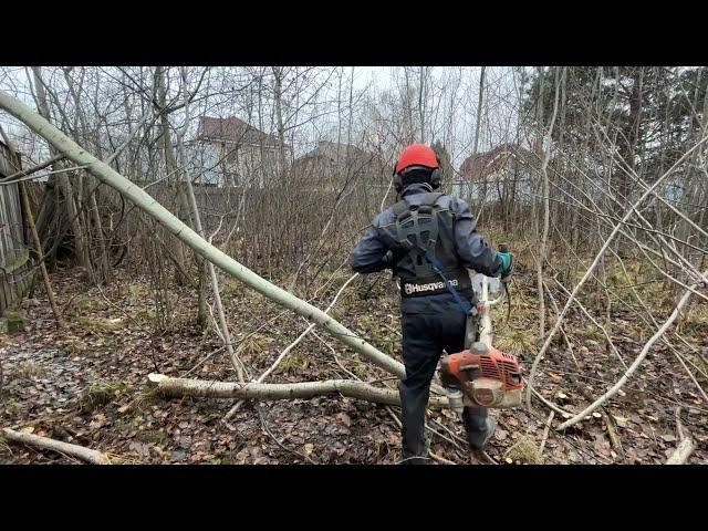 Расчистил участок от поросли и деревьев в Дергаево