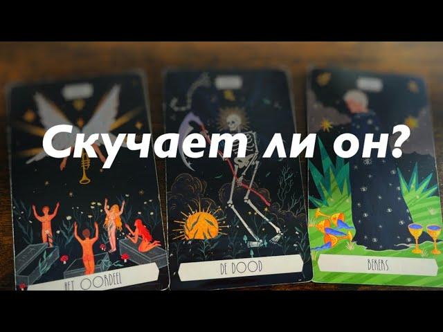 Скучает ли он? Что думает?️️️