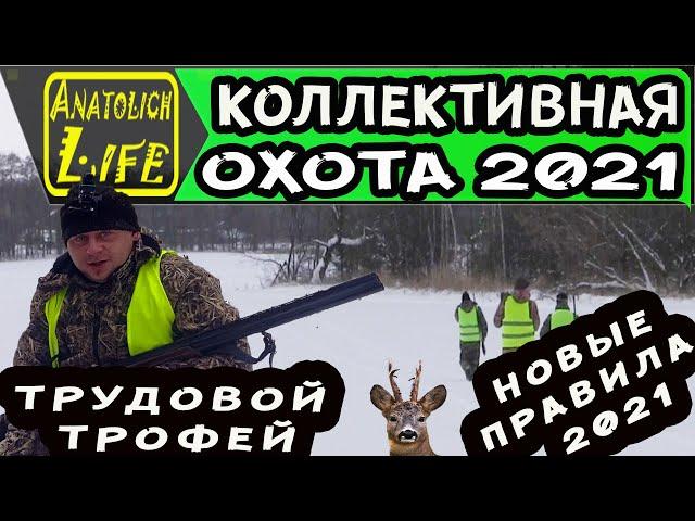 Охота 2021. Коллективная охота на косулю! Первый трофей года.