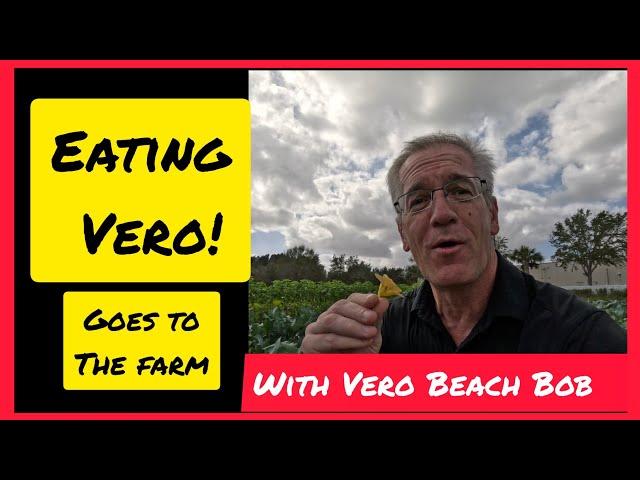 Living in Vero Beach - The best organic farms - Ye Ole Davis Family Farms - @verobeachbob