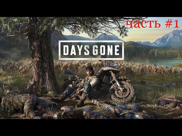 Days Gone на ПК прохождение - обзор. Стоит ли играть?