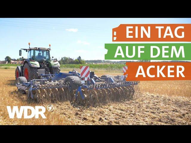 Annis Leben als Landwirtin | neuneinhalb – Deine Reporter | WDR