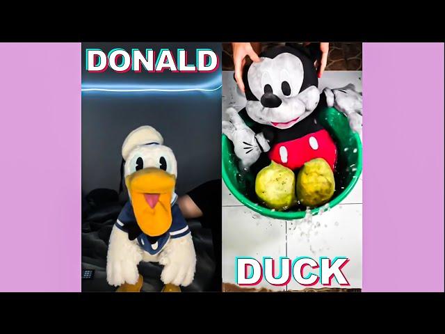 *1 HOUR*  DONALDDUCC TikTok Compilation #1 | Funny Reactions Donaldducc 2024