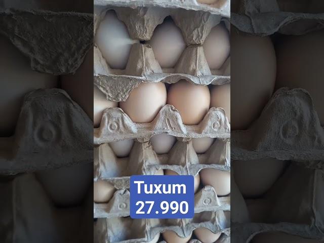 Tuxum 27.990 murojat:331023232 #uzbekistan #kazakhstan #fargona #shorts #short #500subs