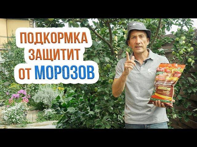 Подкормка деревьев осенью - СДЕЛАЙТЕ обязательно! Особенности осенней подкормки плодовых деревьев