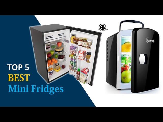 5 Best Mini Fridges : Mini Fridges Reviews 2020