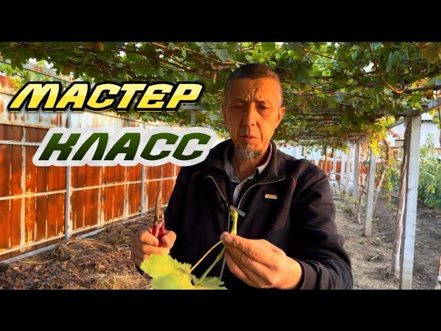 Мастер Класс… Бак Сыры:+996555887633