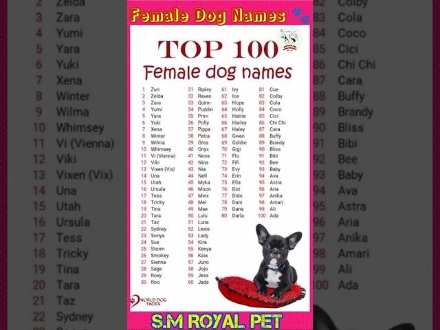 Female dog names  comment your dog names  #2024 #doglover #777 #dachshundpuppy @PetcareKannada