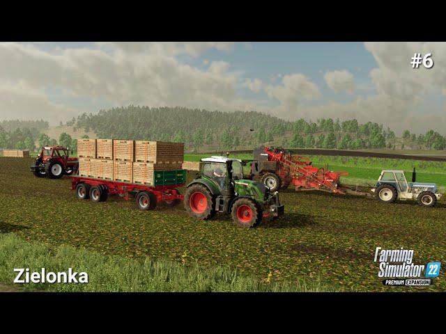 Harvesting the red beet / production chains/ Farming simulator 22 premium expansion / Zielonka ep 6