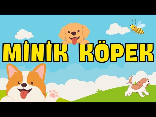 Minik Köpekler - Çocuk Şarkıları