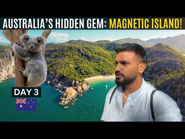 Dicovering Australia’s Secret Island & Wildlife: Townsville to Magnetic Island!  (Day3)