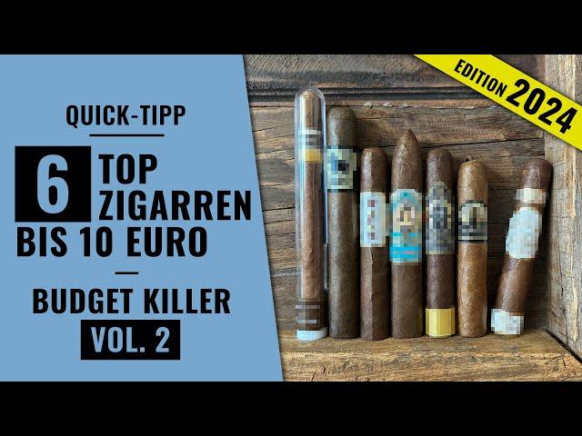 Die 6 TOP Zigarren bis 10 Euro - unsere Empfehlungen 2024 | Quick Tipp | Zigarren Review