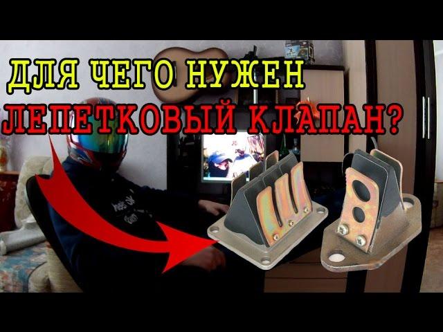 Для чего нужен лепестковый клапан?