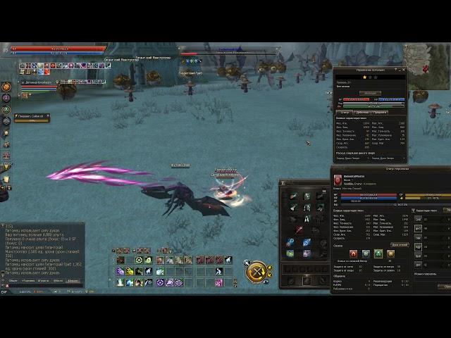 Lineage 2 Essence | Low level pet exping