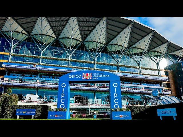 Champion Stakes & Queen Elizabeth II Preview from the Racing TV studio