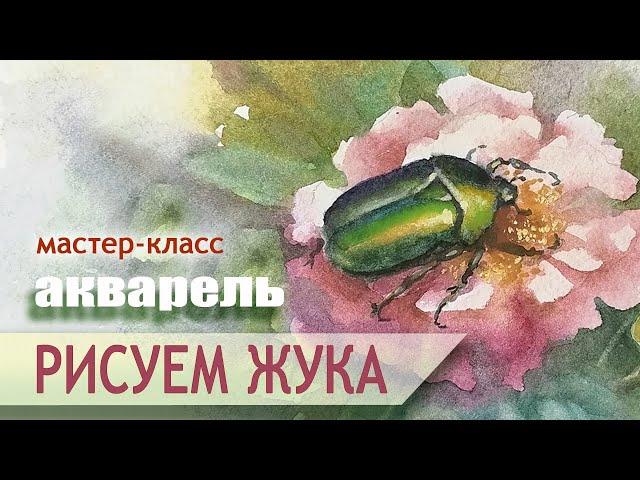 Рисуем ЖУКА  акварель Елена Гридасова