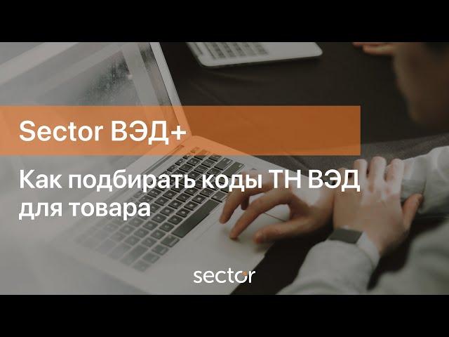 Как подбирать коды ТН ВЭД для товара в программы Sector ВЭД+