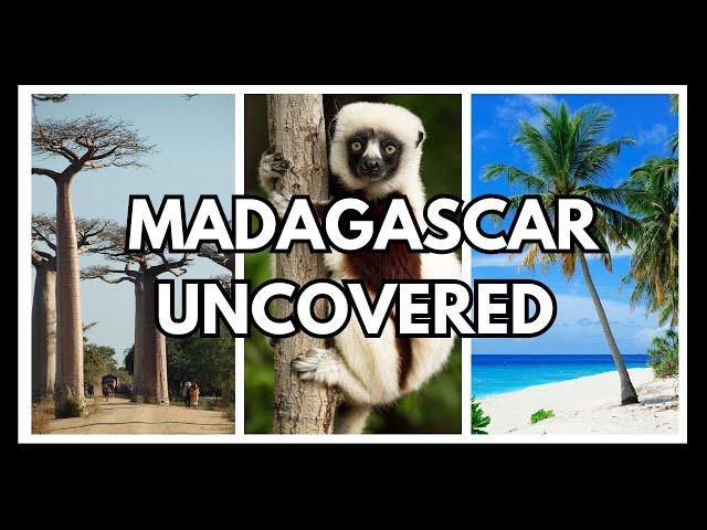 Madagascar Travel Guide: Uncover Hidden Gems and Unique Experiences