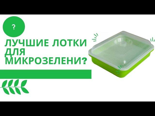 Лотки для микрозелени. Идеальное решение для дома!