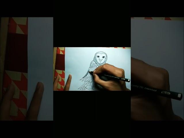 Cara cepat menggambar burung hantu ( Owl ) #owl #burunghantu #menggambar #drawingtutorial #draw #art