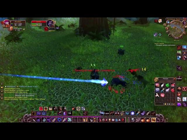 WoW classic Hunter 1.13.2 pvp. Ганг в Тернистой долине. Змейталак ПВП. World Of Warcraft.