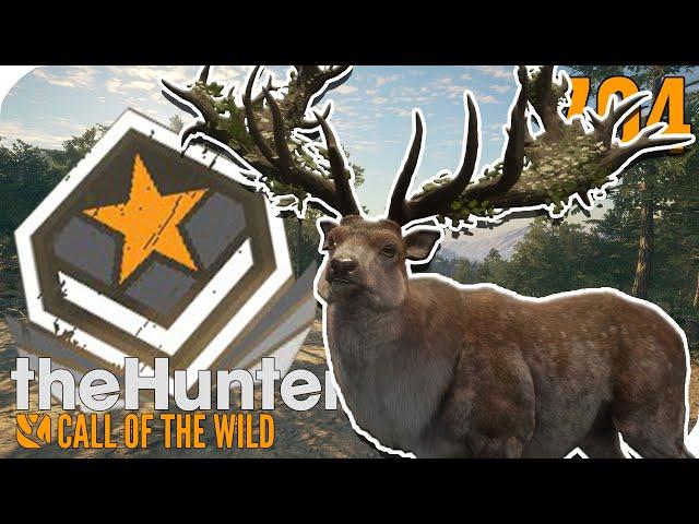 GREAT ONE ROTHIRSCH! Unfassbare Jagd! | theHunter Call of the Wild | PantoffelPlays