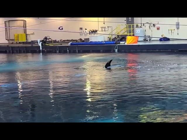 The Georgia Aquarium - Behind the Scenes Tour