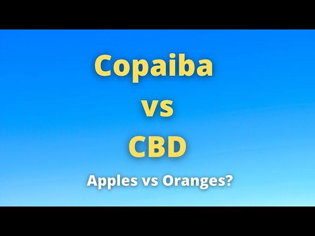 Copaiba vs CBD. How They Differ & How They Are Similar. Doctor Jack Episode 49